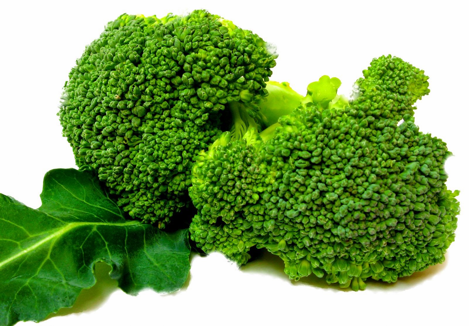 4 Manfaat Penting Sayur Brokoli  Untuk Kesehatan IDNPortal