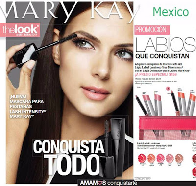 Mary Kay the look enero febrero 2017 the look enero febrero 2017