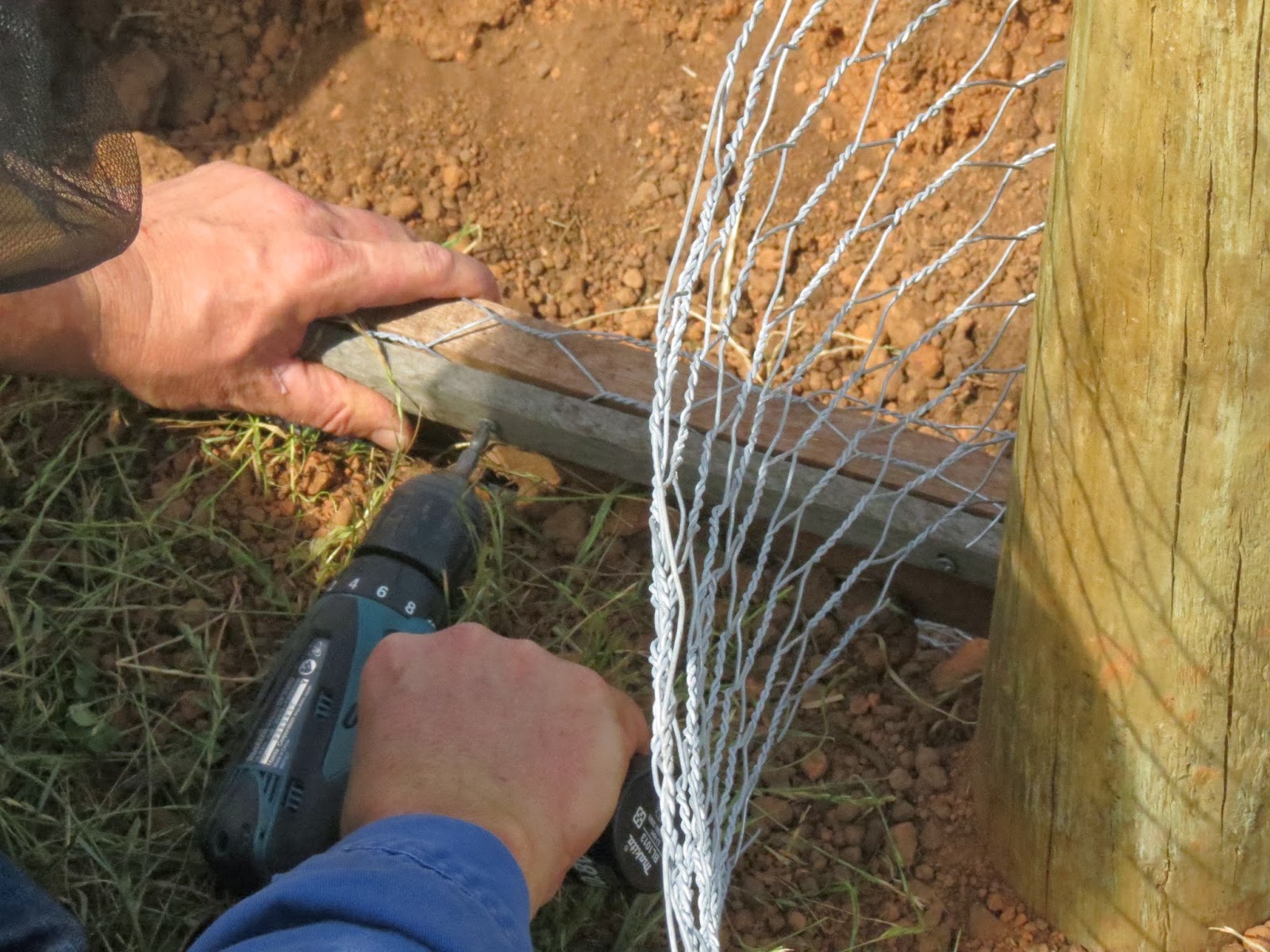 Pretending to Farm Building a Fox Proof Chicken Coop