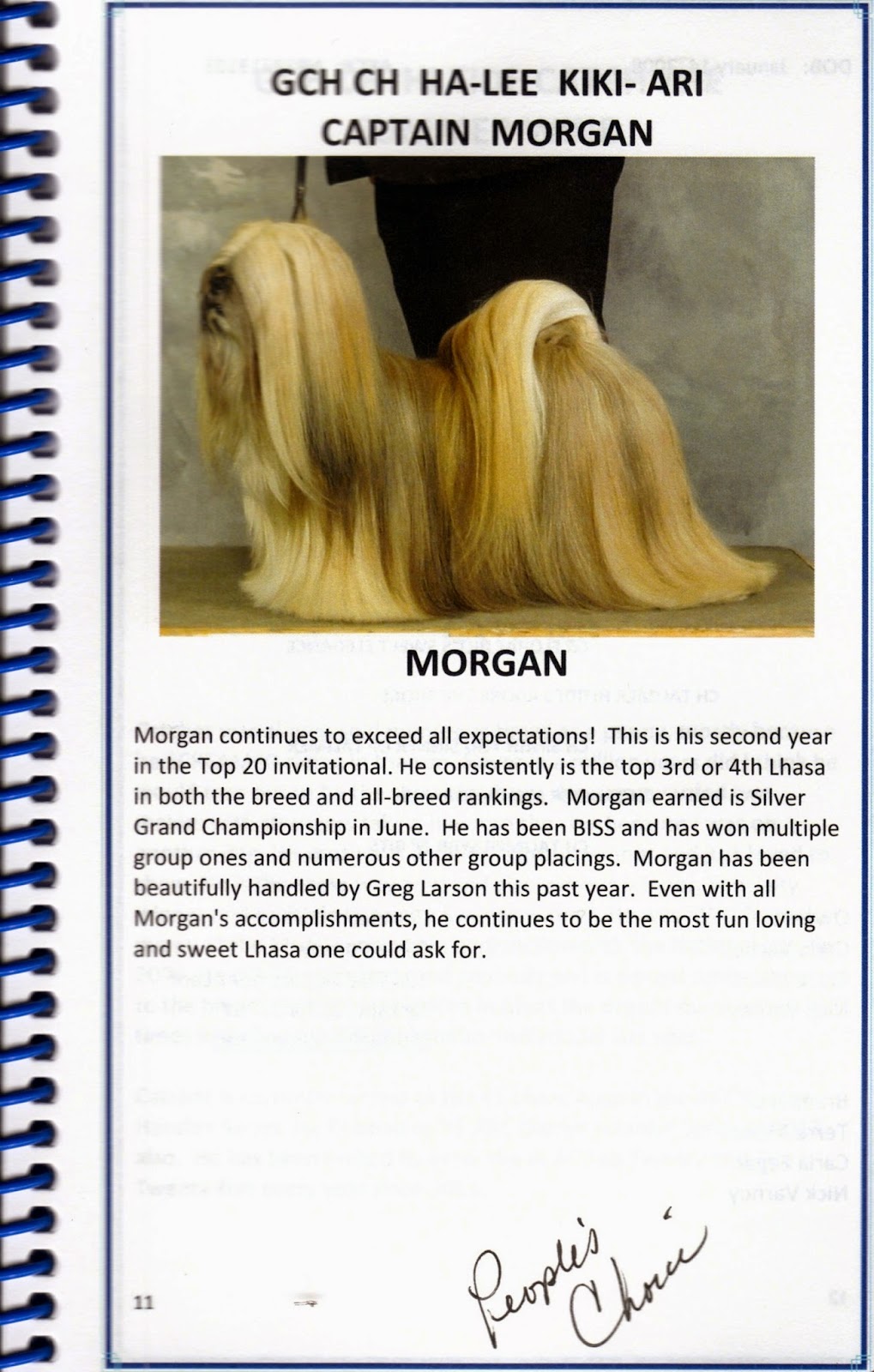 Lhasa Apso Blog Part II American Lhasa Apso Club National Specialty