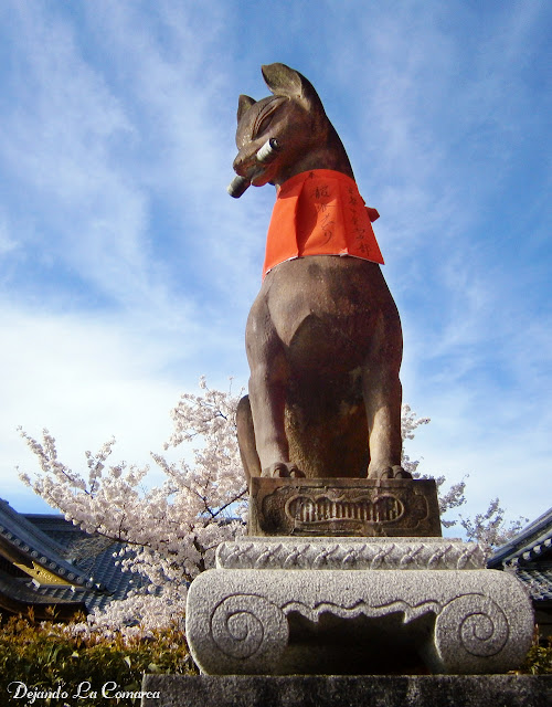 Día 13 - Kyoto (transformación en maiko - Fushimi Inari) - Japón primavera 2016 - 18 días (con bajo presupuesto) (19)