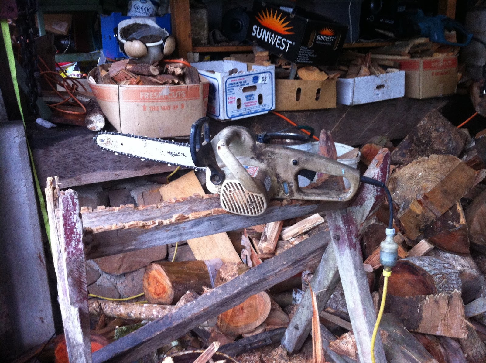 Stihl e20 electric sale chainsaw