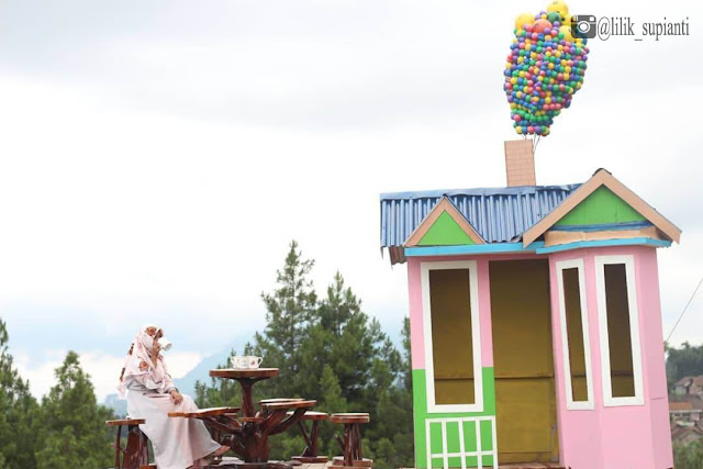 spot foto top selfi pinus magelang spot foto top selfi pinus magelang