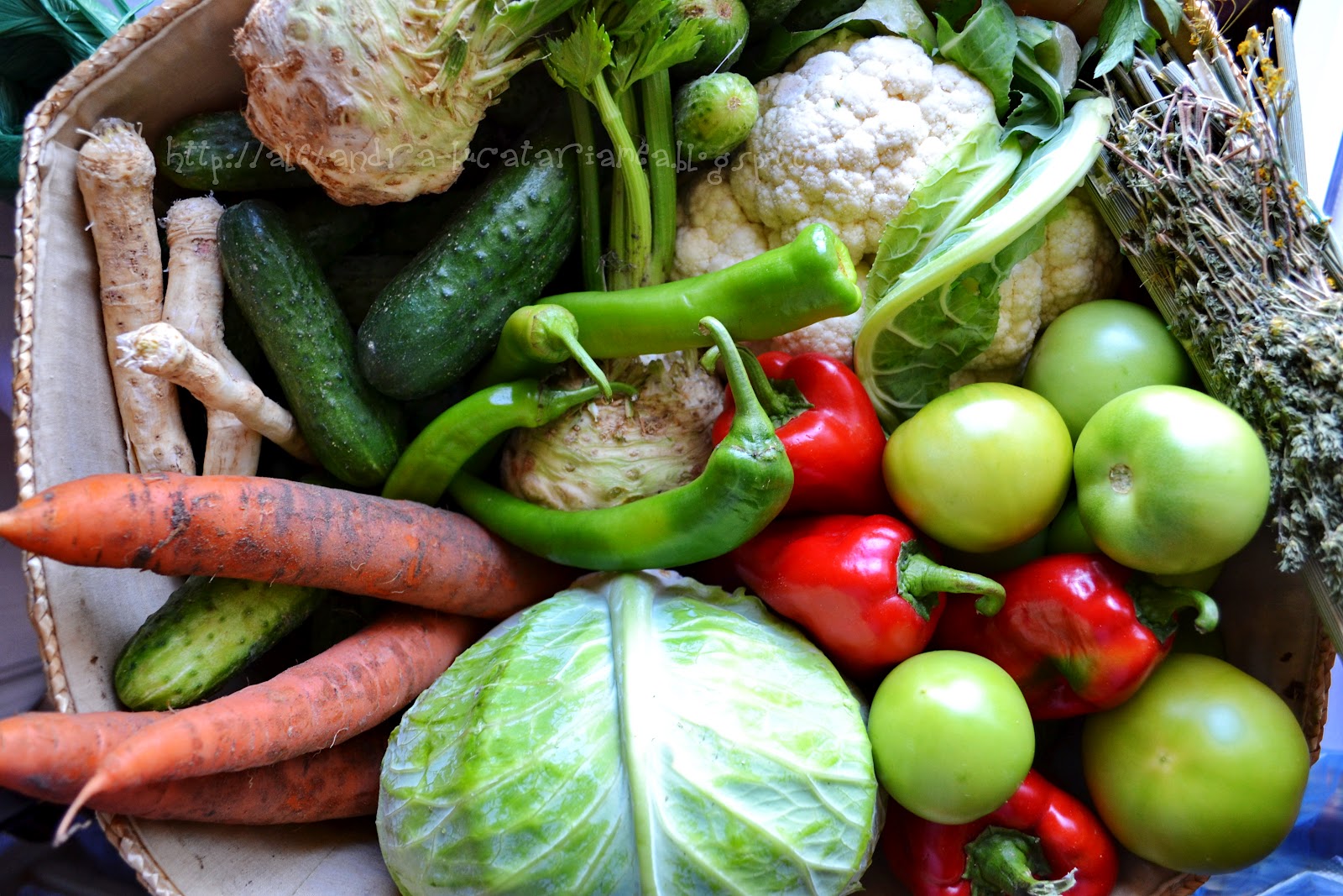 Овощ используют для приготовления. Овощи ассорти. Засолка овощей. Малосольные овощи ассорти. Квашеные овощи.