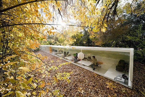 The Coolest Business Offices in the World