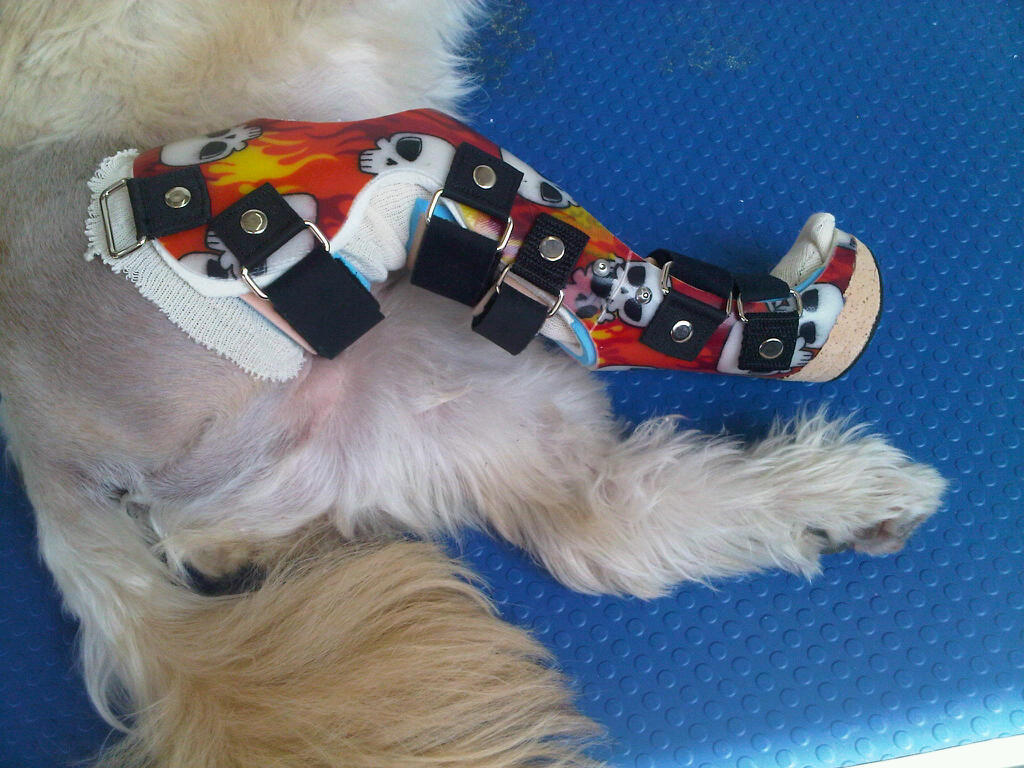 Acl full Leg Brace