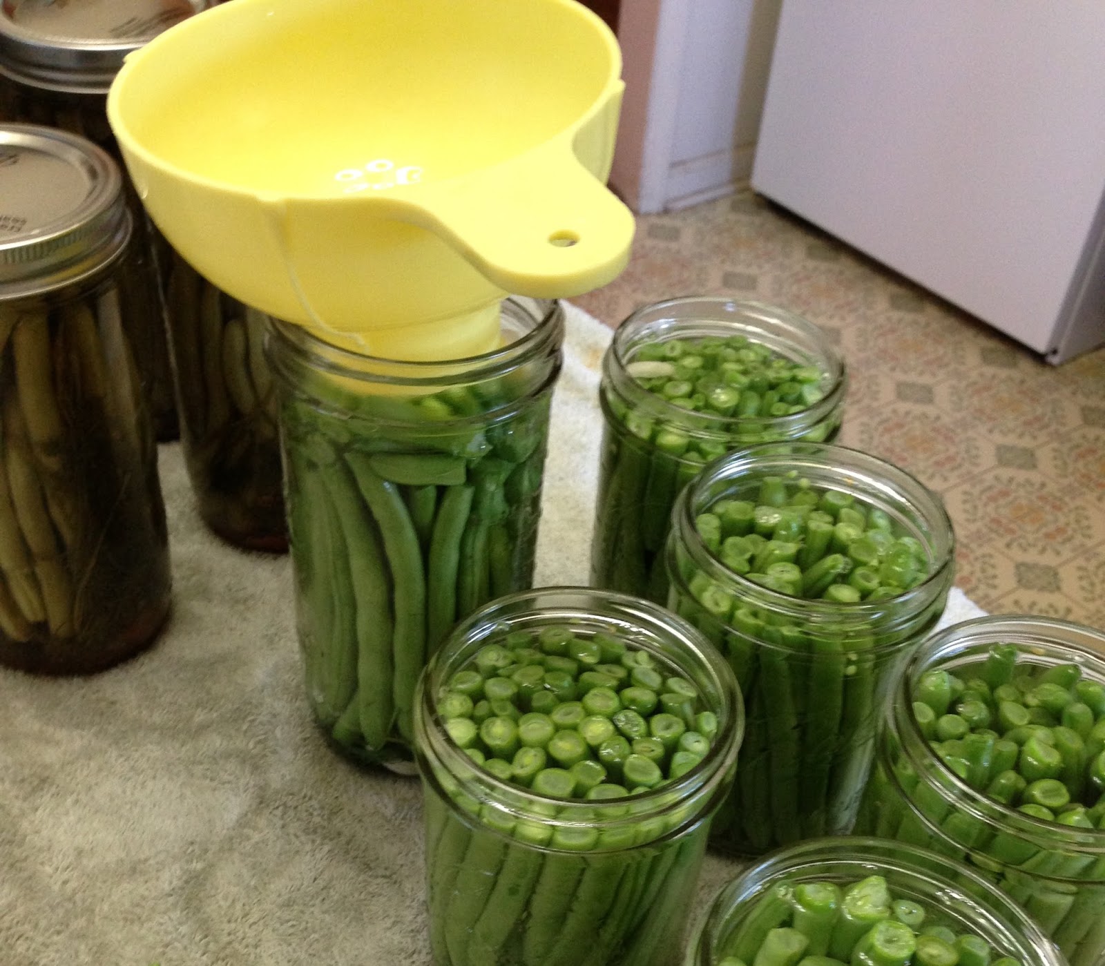 Pressure Cooking and Canning Canning Dilly Beans