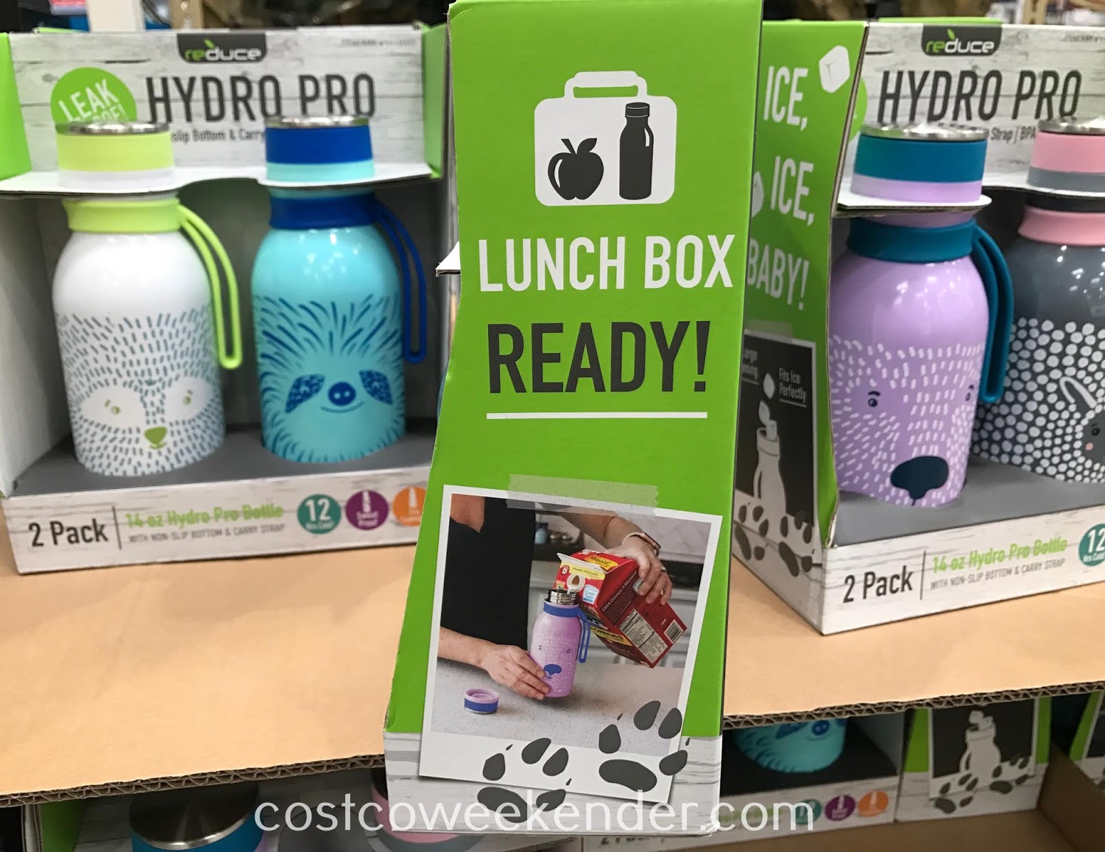 Reduce Hydro Pro Furry Friends Water Bottle (2 pack) Costco Weekender