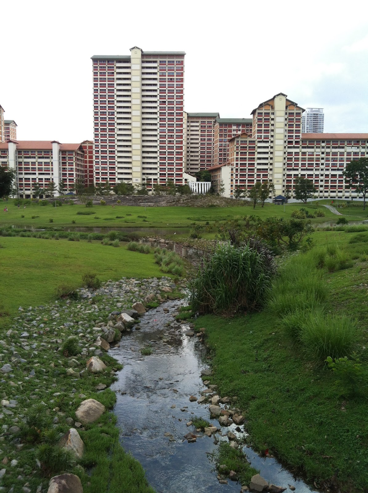 Seeing Singapore Sooner than Never Bishan park