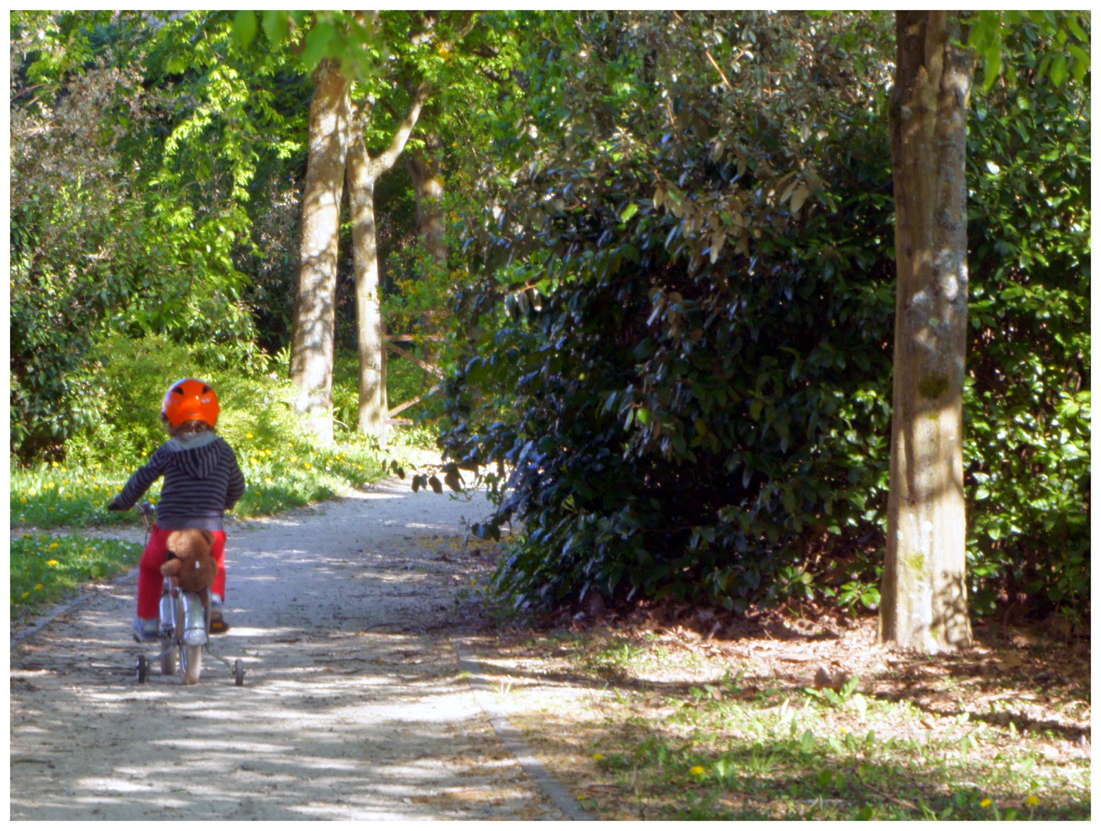 trottinette 3 roues pat patrouille stella