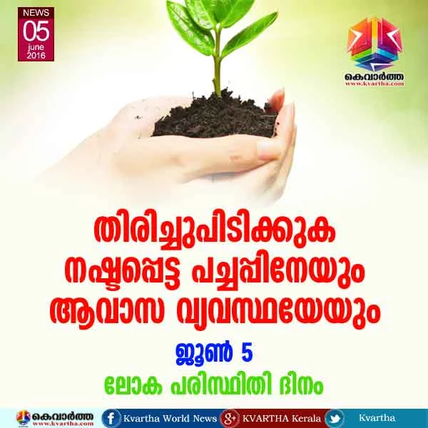 Article, Environmental problems, Endosulfan, India, River, Fog, Water, Drinking Water, Ozone, Human, Plastic, Pesticide, insecticide. 