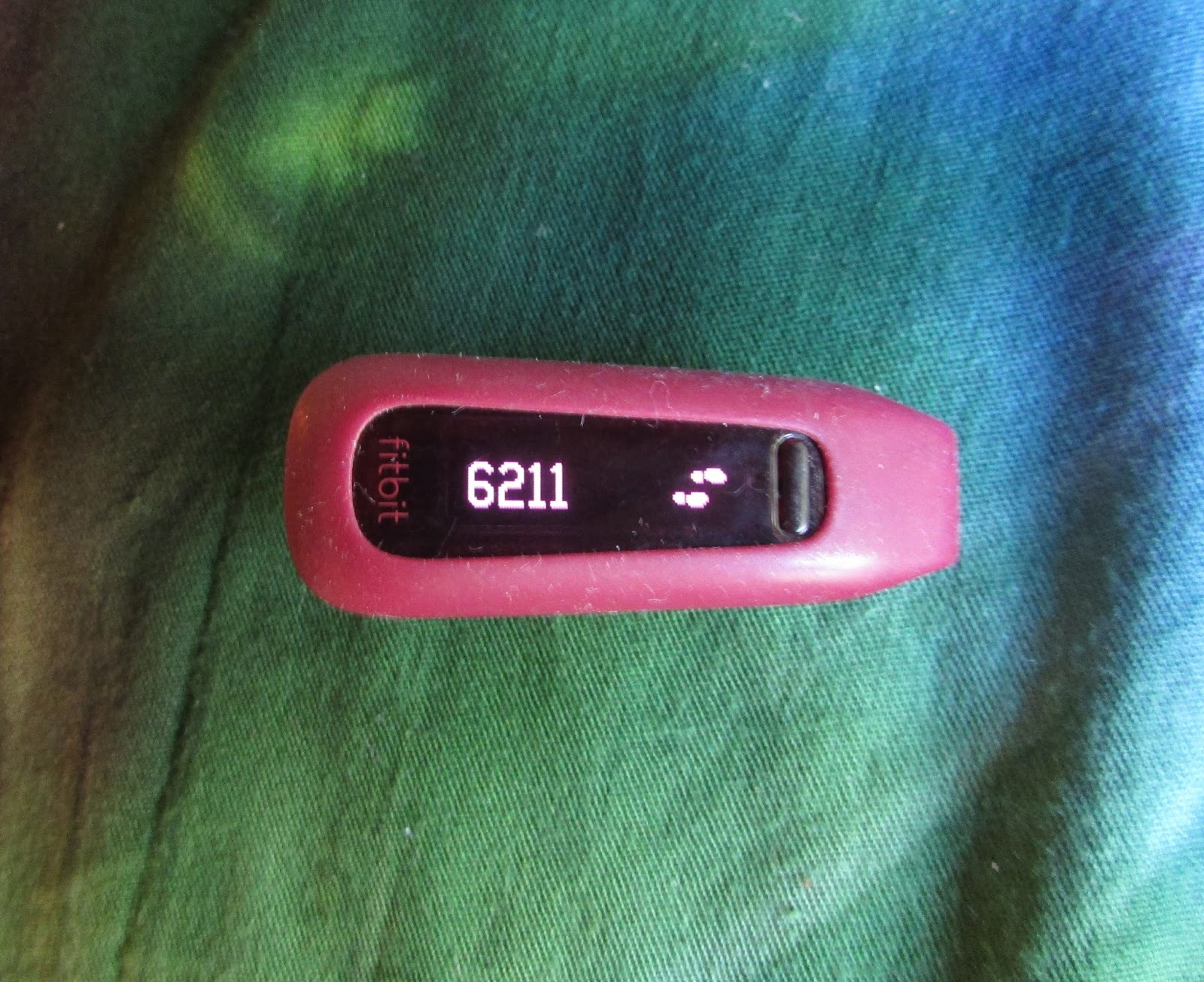 i lost my fitbit charger