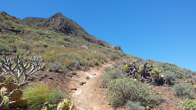Subida al Monte Amagro Subida al Monte Amagro