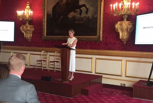 The Countess of Wessex hosted the Vodafone Foundation's DigitisingPurpose forum at St James's Palace