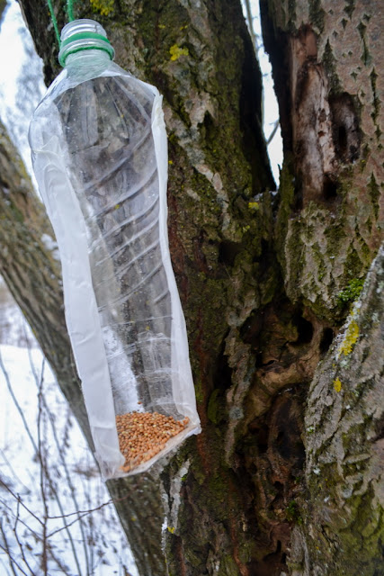ПРОГУЛКА ДОБРЫЕ ДЕЛА