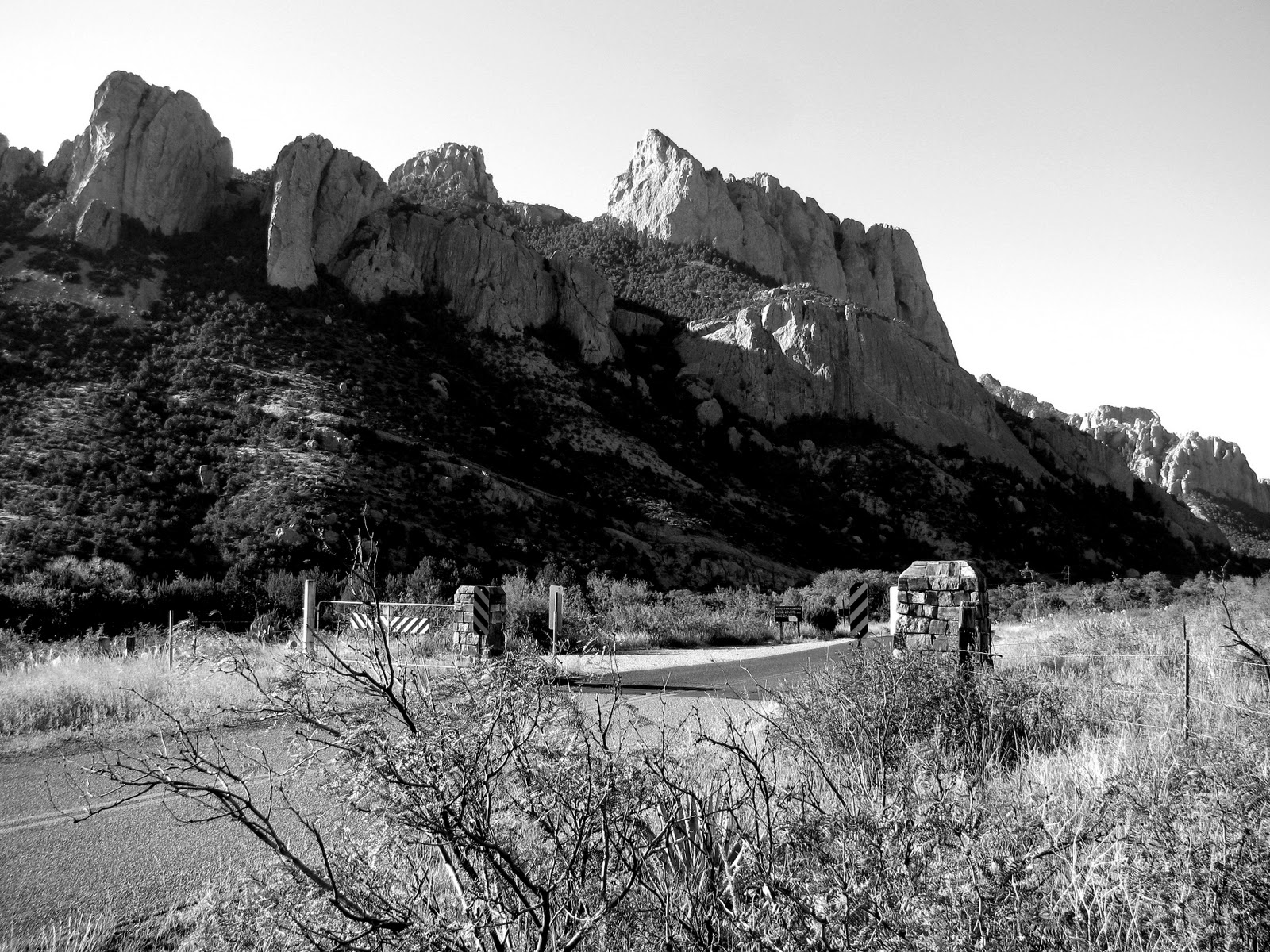 Blogging from the Boot Heel Cave Creek Canyon Then and Now