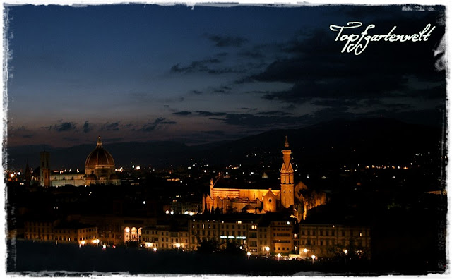 Blick auf Florenz bei Nacht