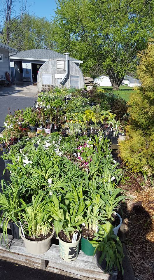Over The Garden Gate Preparing for our annual garden club plant sale!