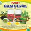 OBAT GUDIK KRONIS DAN MENAHUN CEPAT SEMBUH OBAT GUDIK KRONIS DAN MENAHUN CEPAT SEMBUH