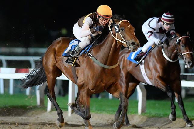 Marcus Aurelius corre hoy el Clásico Chacabuco en Palermo Marcus Aurelius Catcher In The Rye Palermo