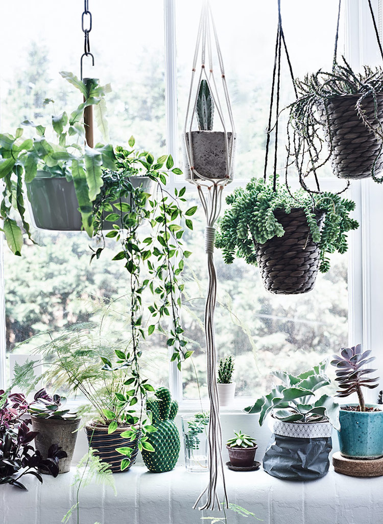 The Ultimate Guide To Indoor Hanging Plants, How To Hang Heavy Planter From Ceiling