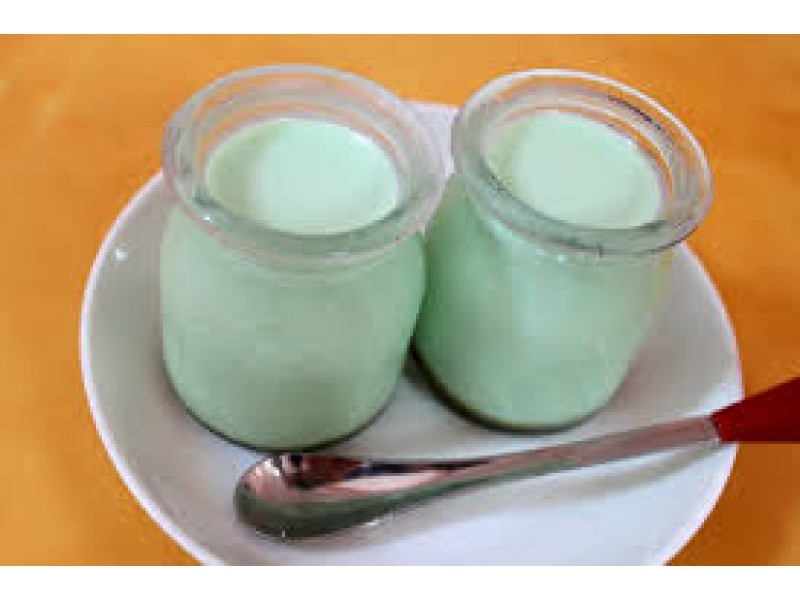 Green Tea Yogurt Recipe (Sữa Chua Trà Xanh) Vietnam Famous Destinations