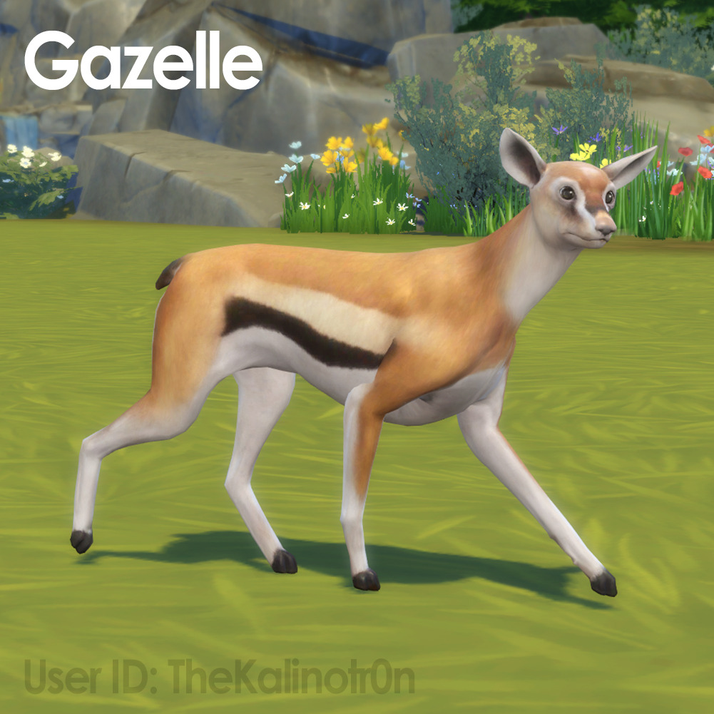 Sims 4 CC's The Best New Animals by Kalino