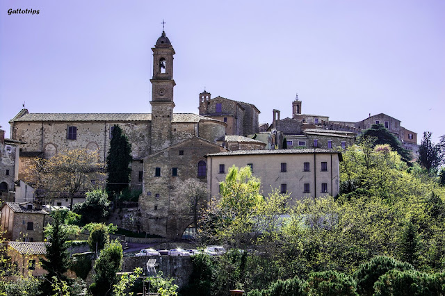 Del Medievo al Renacimiento - La Toscana - Rinascita (5)