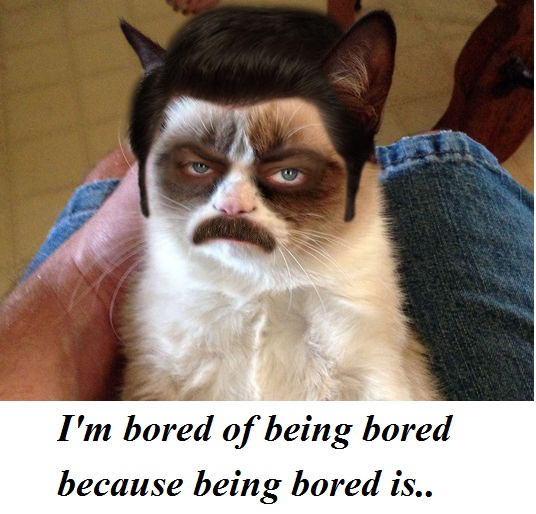 Feeling Alone And Bored Whatsapp Status Idea Status Quote Which