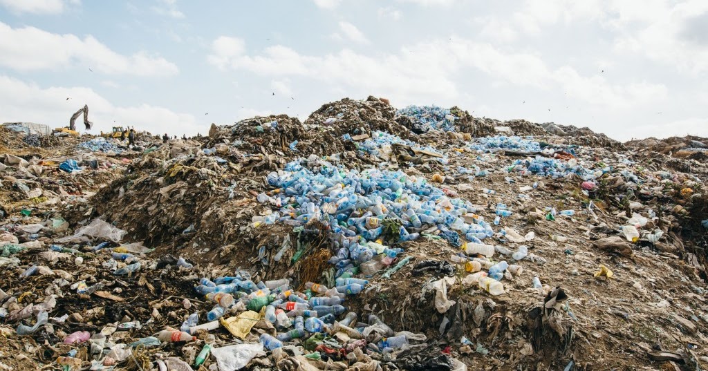 Where does your water bottle end up?