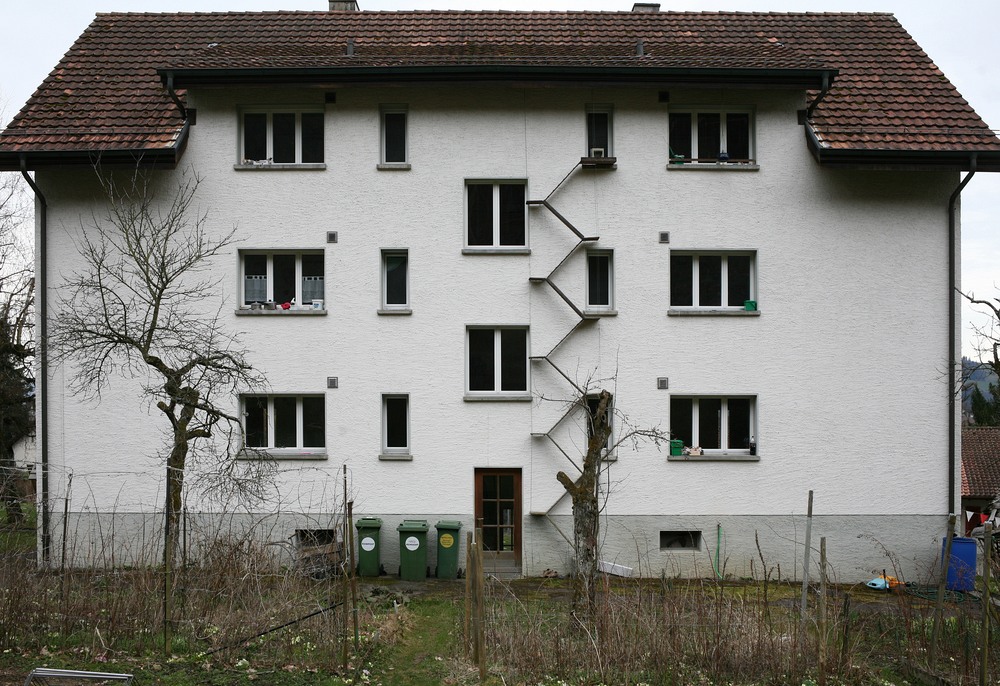 bern cat ladders