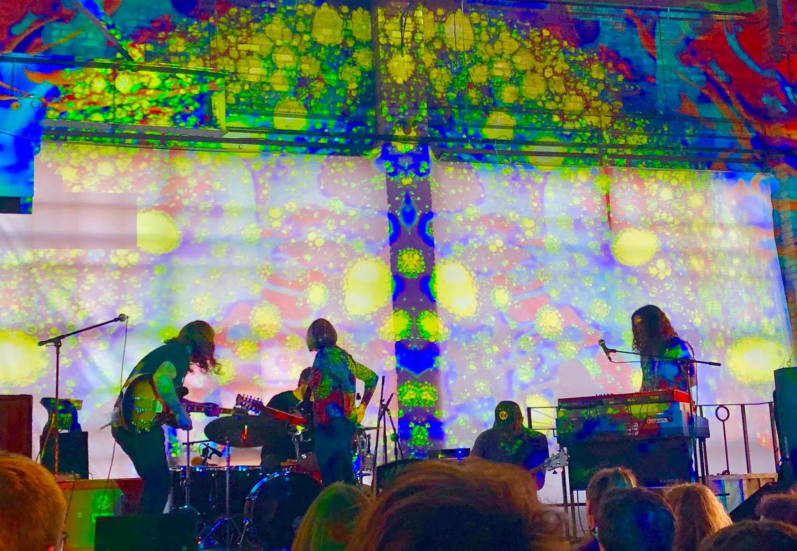 Milwaukee Taper Moss Folk at the Milwaukee Psych Fest, May 4, 2018