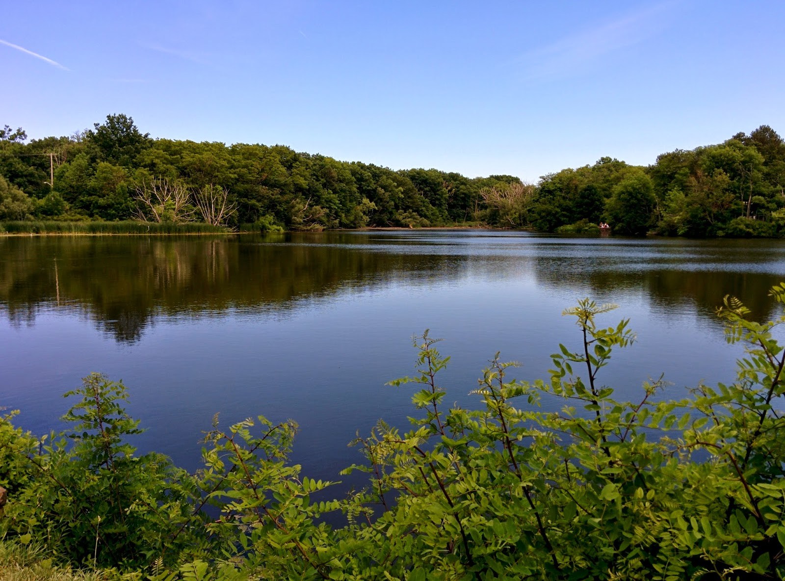 Nature Center At Shaker Lakes Horseshoe Lake Ohio