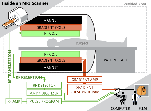 Characteristic Of Magnetic Resonance Imaging