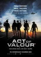 Free Download Movie ACT OF VALOUR (2012)