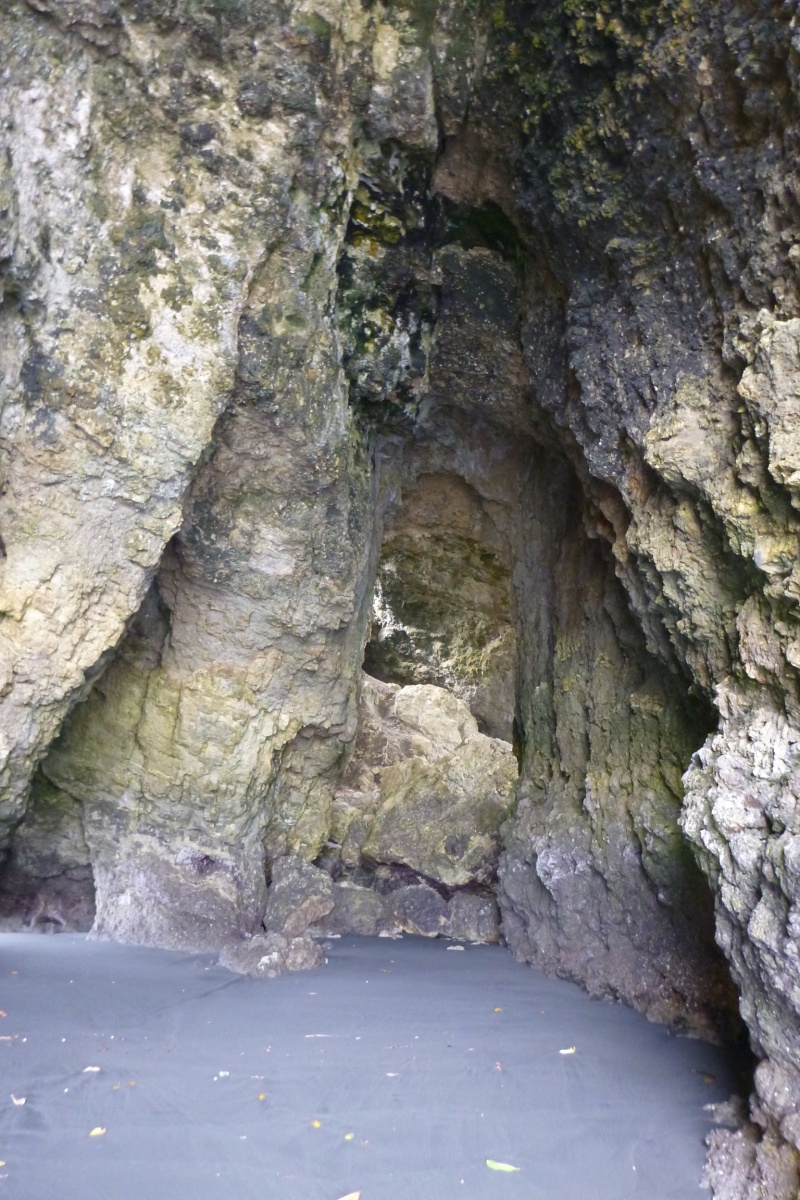 Queensland Coast When the Great Barrier Reef was a land of hills and trees
