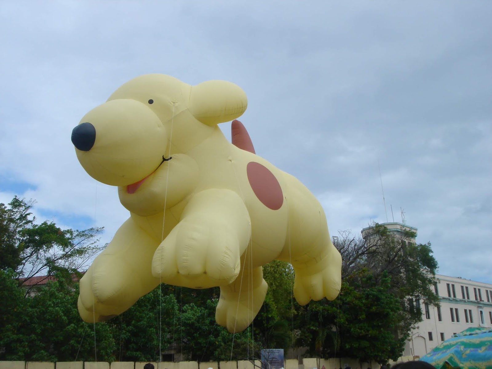 большие игрушки. большой плюшевый медведь. огромный плюшевый мишка. большая игрушка видео. есть игрушка за 1000000 в россии.