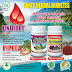 obat herbal diabetes basah