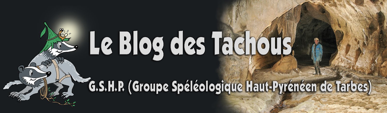 Le Blog des Tachous