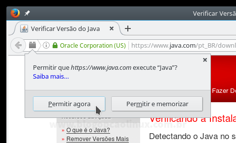 Permita a execução do plugin clicando em "Permitir agora" Permita a execução do plugin clicando em "Permitir agora"