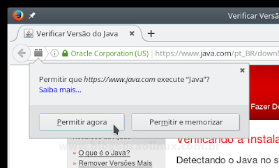 Permita a execução do plugin clicando em "Permitir agora" Permita a execução do plugin clicando em "Permitir agora"