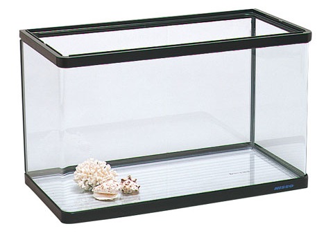 Dunia Air Jenis Jenis Aquarium Yang Ada Di Toko Ikan Hias