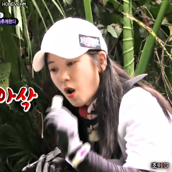 171117 정글의법칙 에이핑크 초롱이.gif | 인스티즈