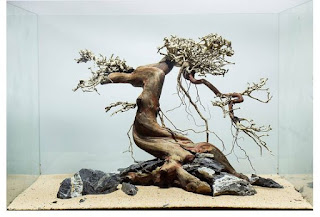 200 Referensi Desain Dan Model Aquascape Berdasarkan Tema https://www.faktapopuler.com/2018/12/200-referensi-desain-dan-model.html