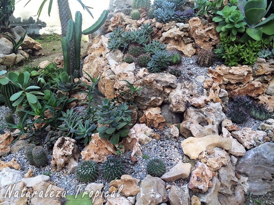 Jardín xerófilo con diferentes niveles elaborado con rocas