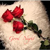 Download Free Romantic Good Night Love Quotes