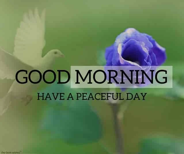 good morning images with blue rose and bird