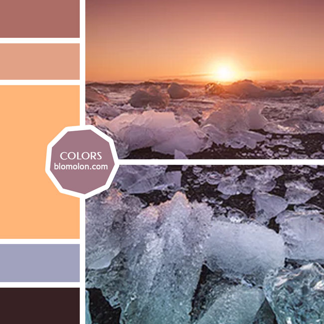 variedad en color moodboard 64 variedad_en_color_moodboard_64