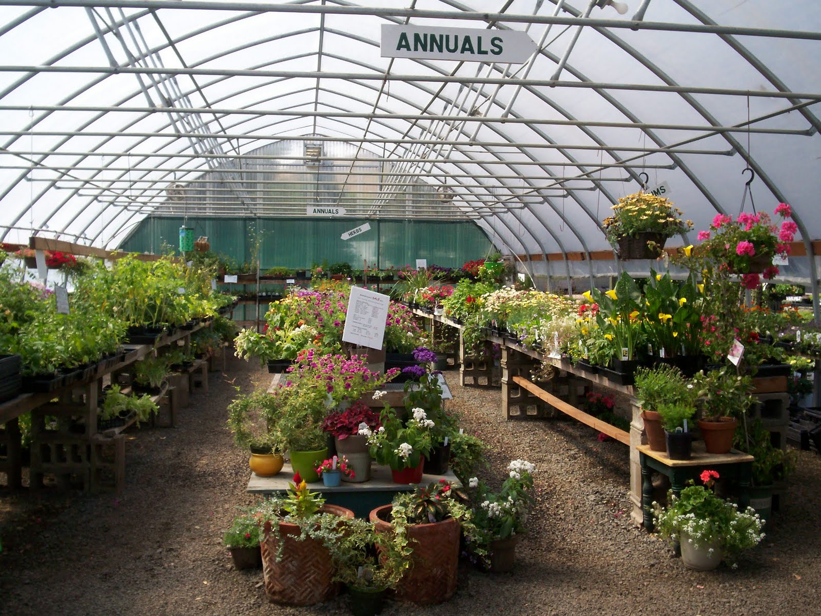 Tripping around Washington SYG Nursery Pullman WA