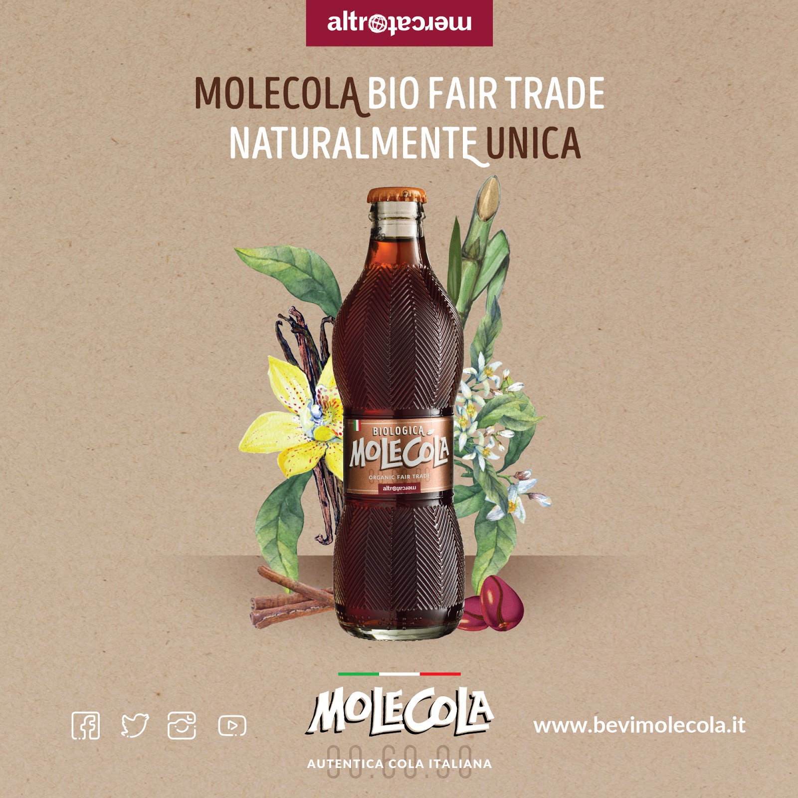 Molecola Bio 90 60 90 – Packaging Of The World